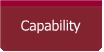 Capability